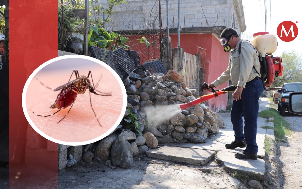 Fumigan debido a casos de dengue en Tamaulipas