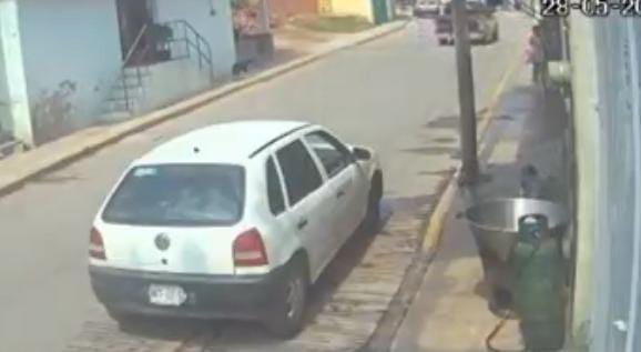 Lastimar o causar la muerte a un ejemplar ya puede ser sancionado.