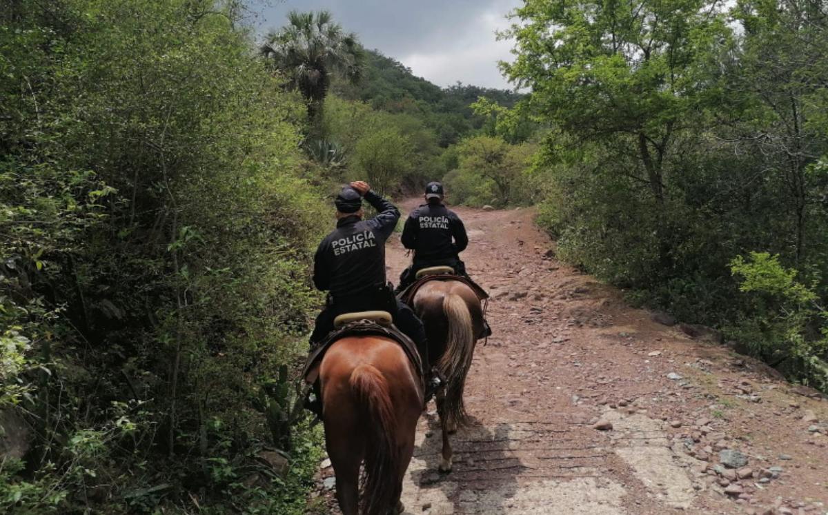 Policía de Tamaulipas vigila en zonas rurales.
