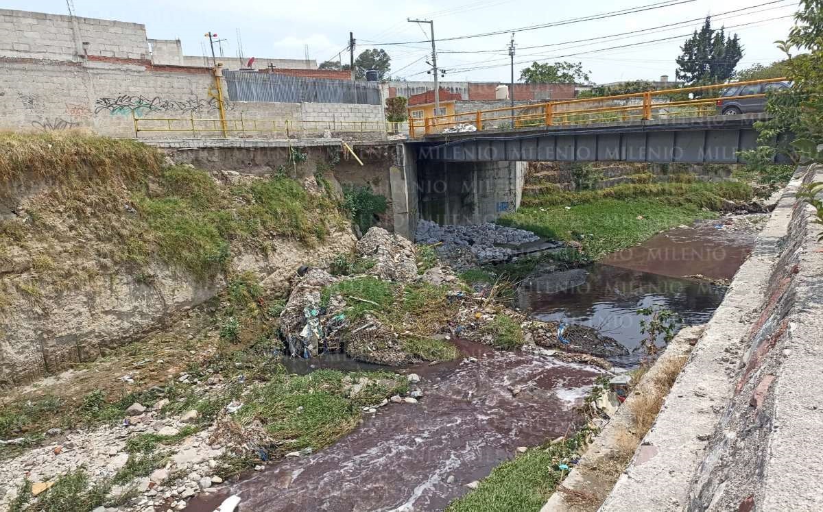 Río Alseseca | Carlos Morales