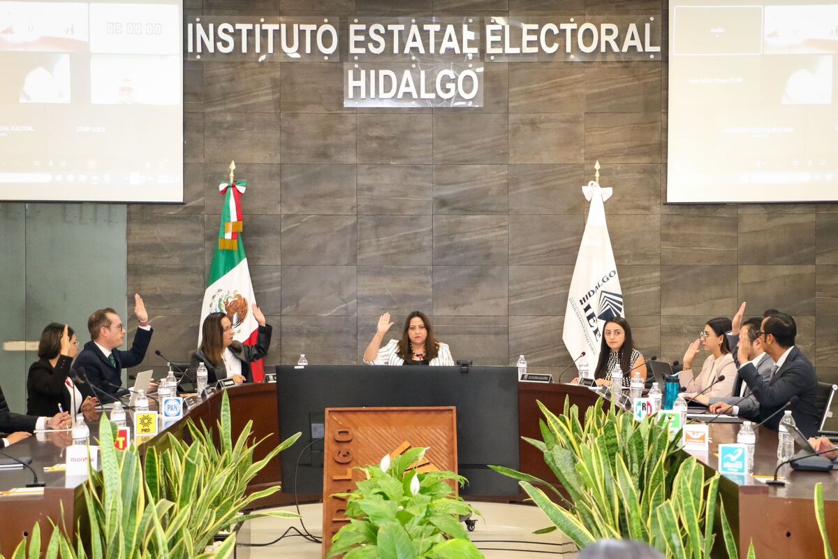 De acuerdo con la consejera electoral Ariadna González, no se llevó el proceso adecuado para la selección del perfil para ocupar este cargo (Cortesía)