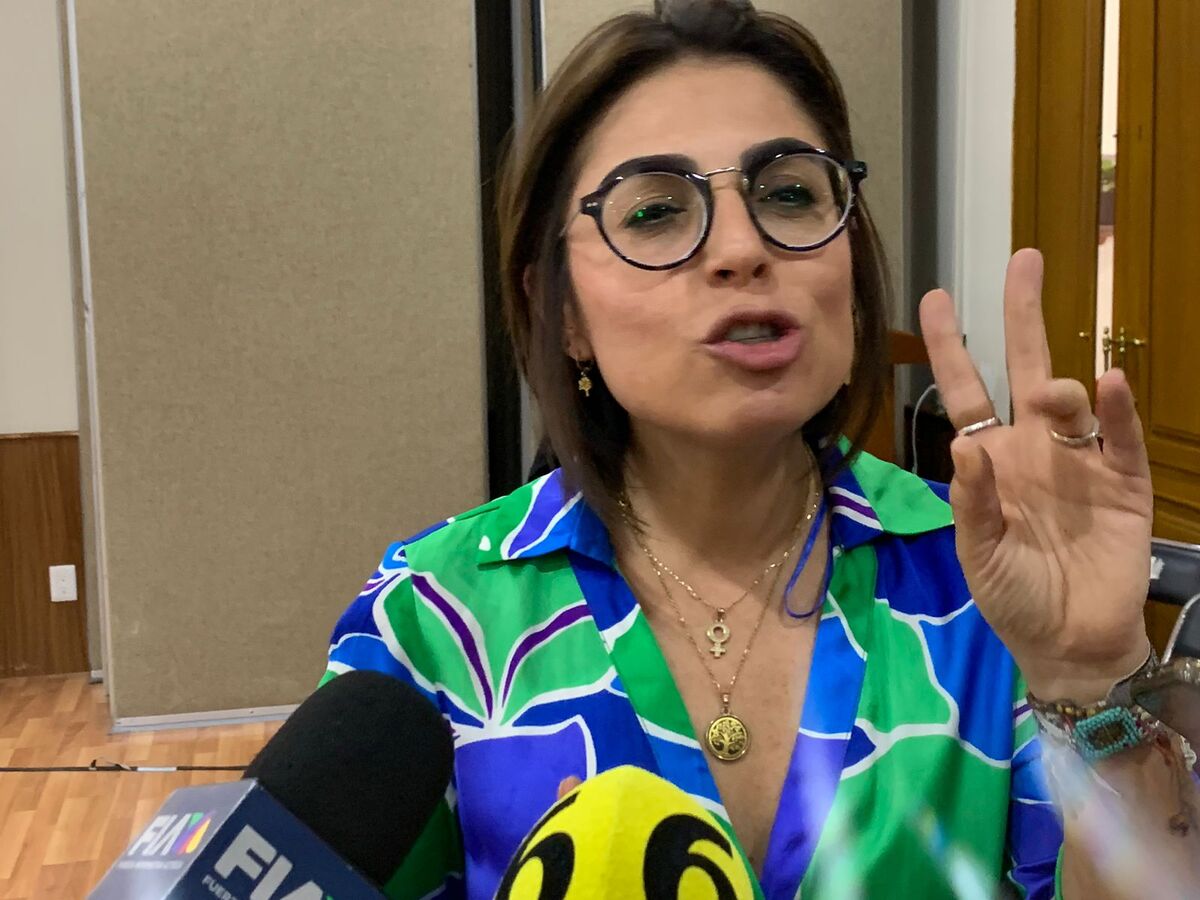 Mirelle Montes, Diputada del PAN (Roberto Hurtado)