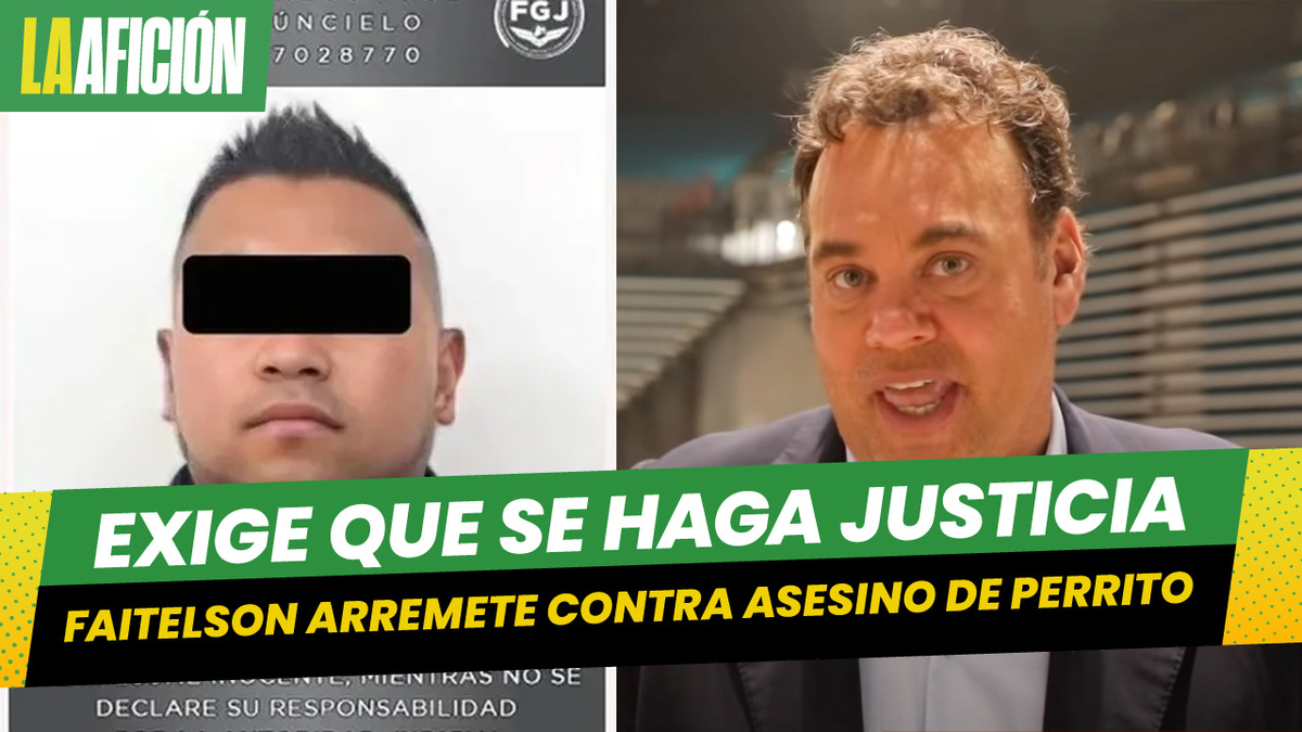 Faitelson dará dinero para “que se encarguen” del asesino del perrito