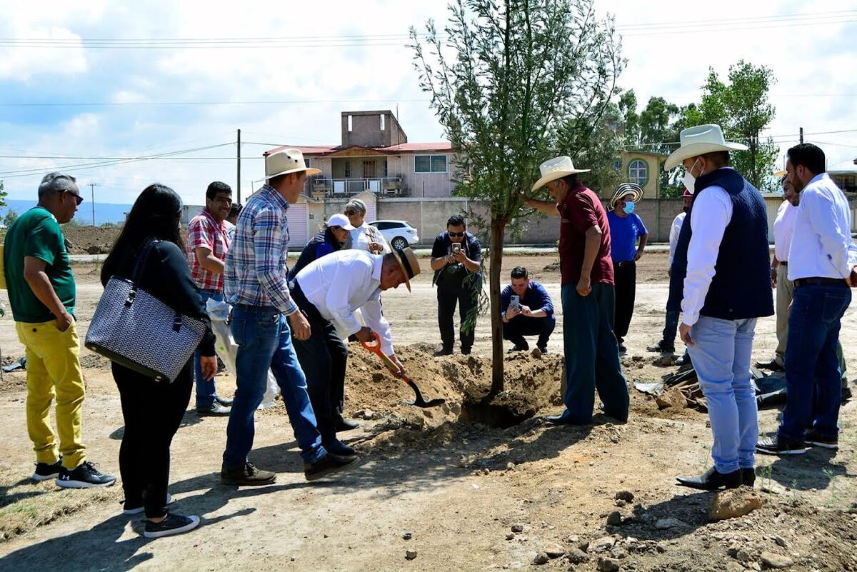 Los ciudadanos pueden participar en el programa de reforestación 2023, con la donación de árboles a la dirección de Medio Ambiente (Cortesía)