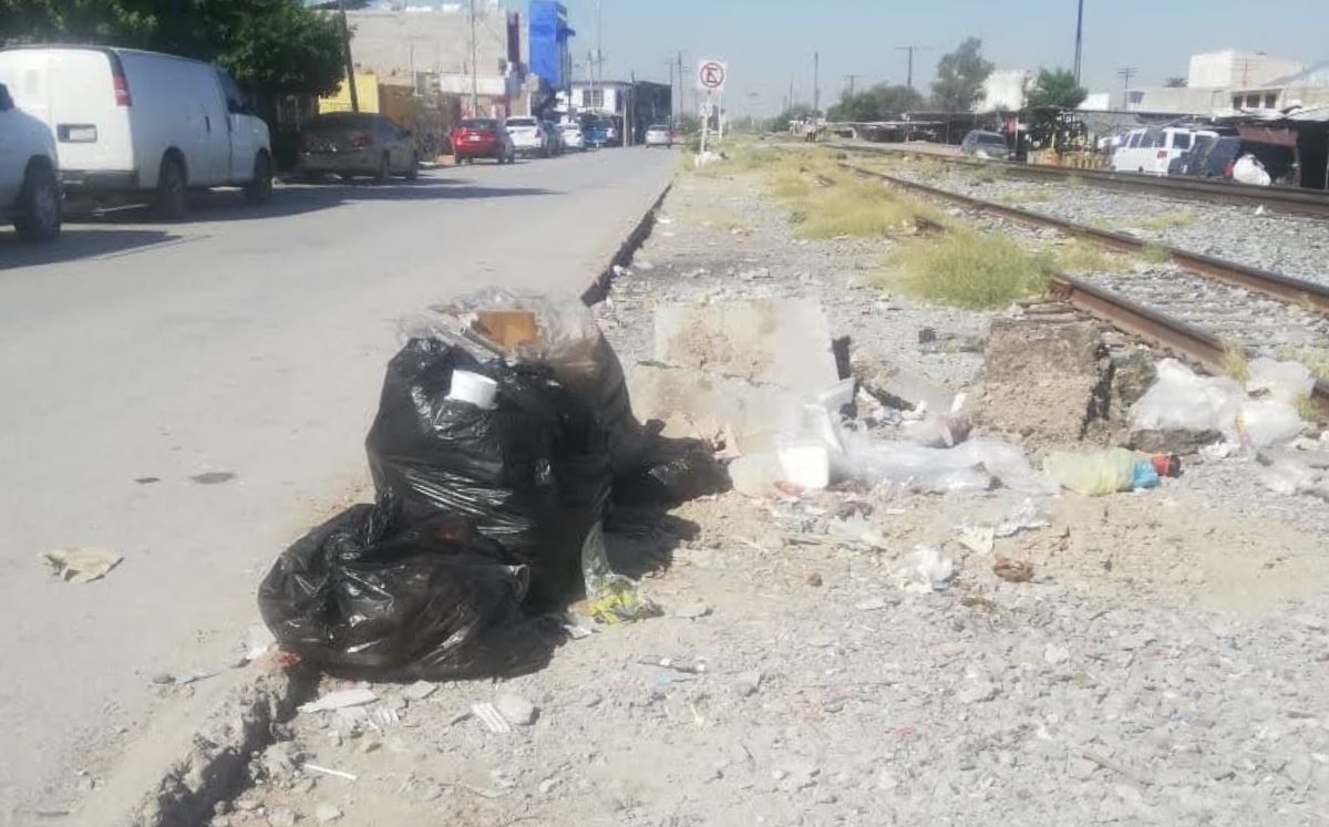 Habitantes de las colonias Las Brisas y Solidaridad destacaron que se requiere de limpiepa, ya que algunas personas tiran animales muertos y basura.