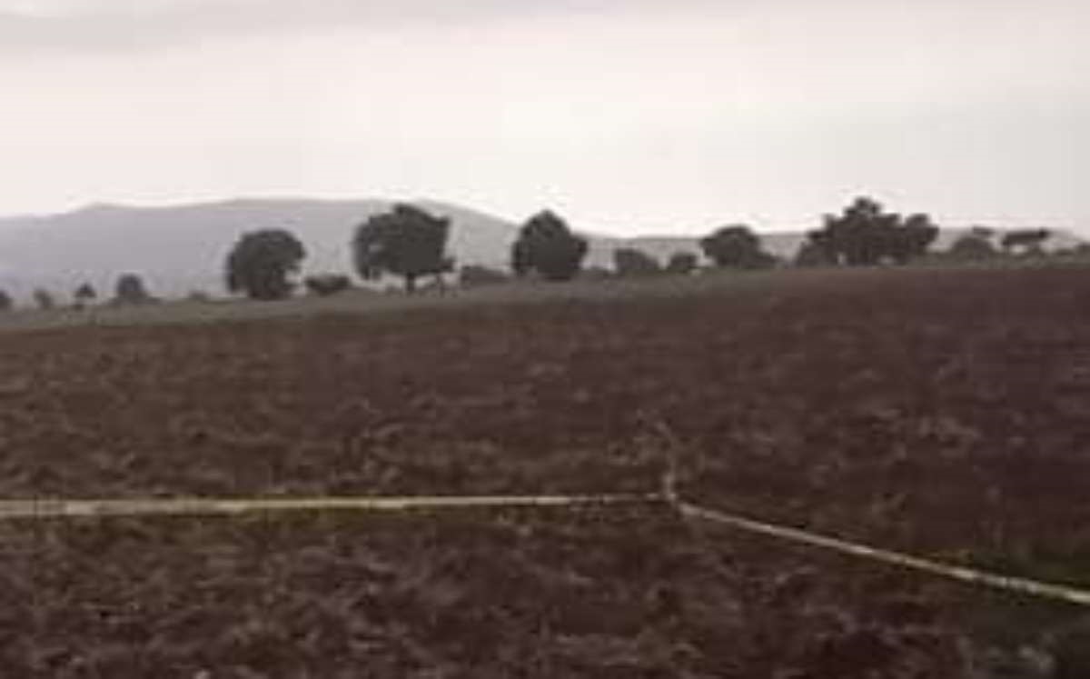 Muere hombre y sus dos caballos en Acatzingo | Especial