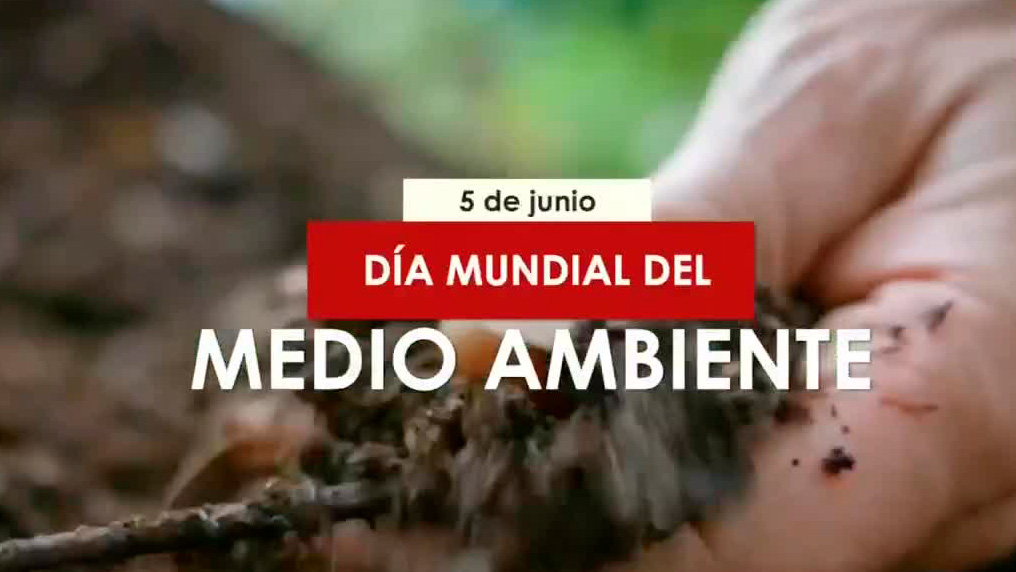 Celebra Bimbo a la naturaleza con resultados