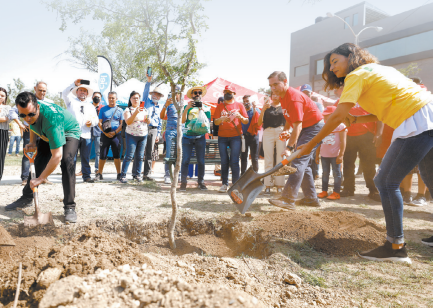 Varios municipios lograron superar la meta de árboles sembrados, pero donde no hubo avance fue en el manejo de residuos. ESPECIAL