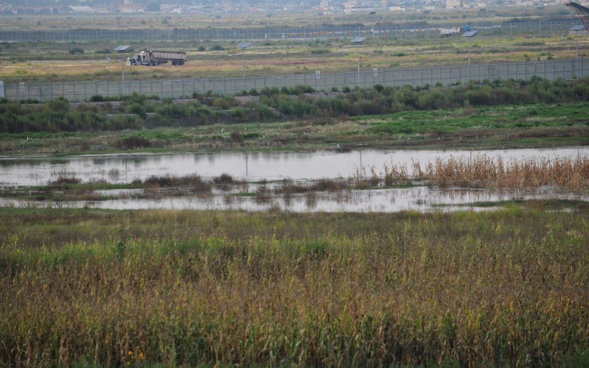 Lago de Texcoco donde se construiría el aeropuerto de la Ciudad de México (Especial)