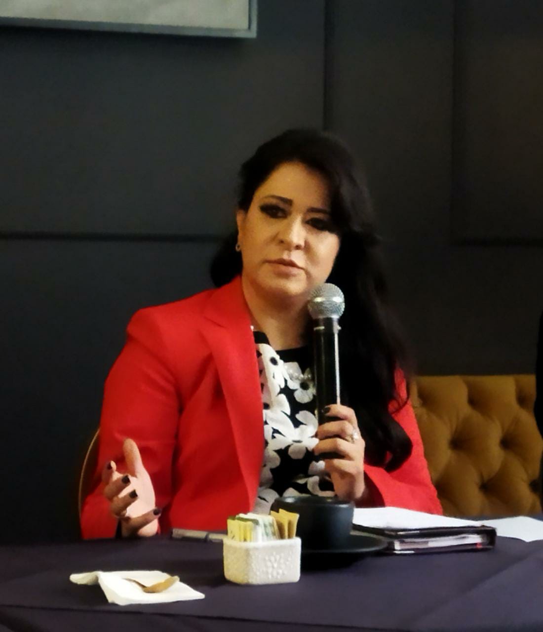 Laura González Hernández, presidenta del CCEM