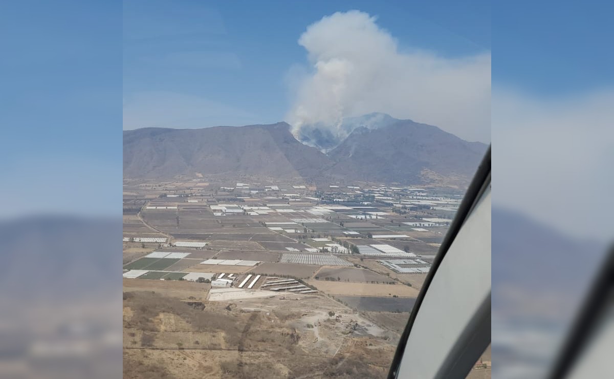 Continúan sofocando el incendio forestal en Cerro Viejo (Cortesía)