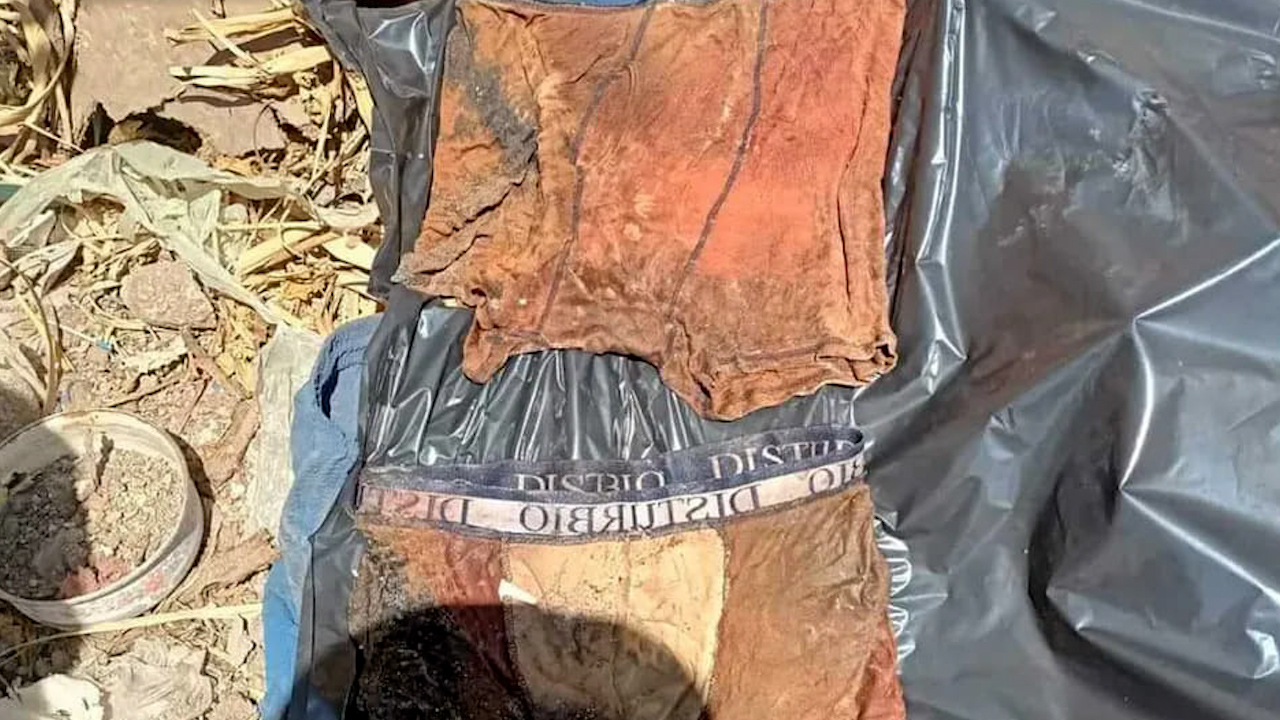 En Guanajuato, brigada de búsqueda localiza 26 cuerpos en dos fosas clandestinas