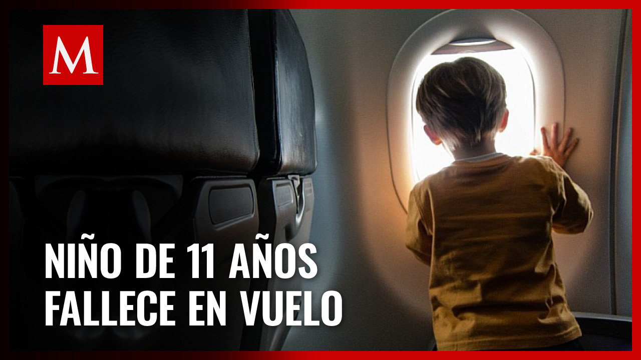 Menor de 11 años fallece durante un vuelo de Estambul a Nueva York