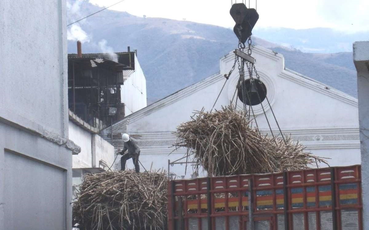Productores de caña | Especial
