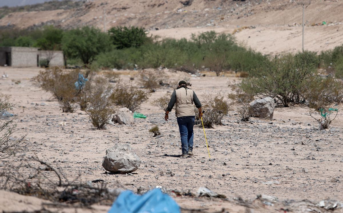 Búsqueda de desaparecidos en La Laguna. (Rolando Riestra)