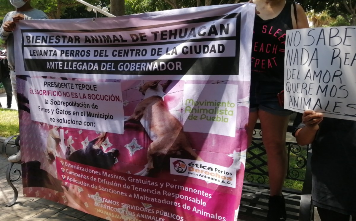 Realizan manifestación por sedar a 4 perritos en Tehuacán | Apolonia Amayo