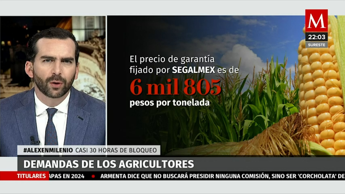 Agricultores siguen en demanda de precio justo para maíz. Alejandro Domínguez, 14 de junio de 2023