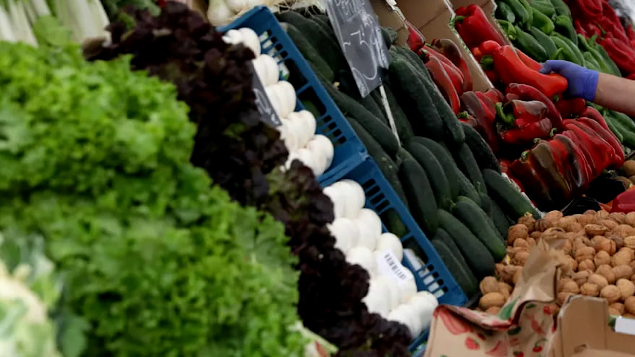 Comercio agroalimentario eleva sus exportaciones; supera ingresos de remesas y turismo