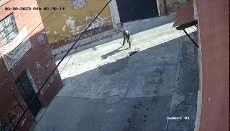 El lomito estaba inconsciente o ya sin vida mientras le seguían pegando.