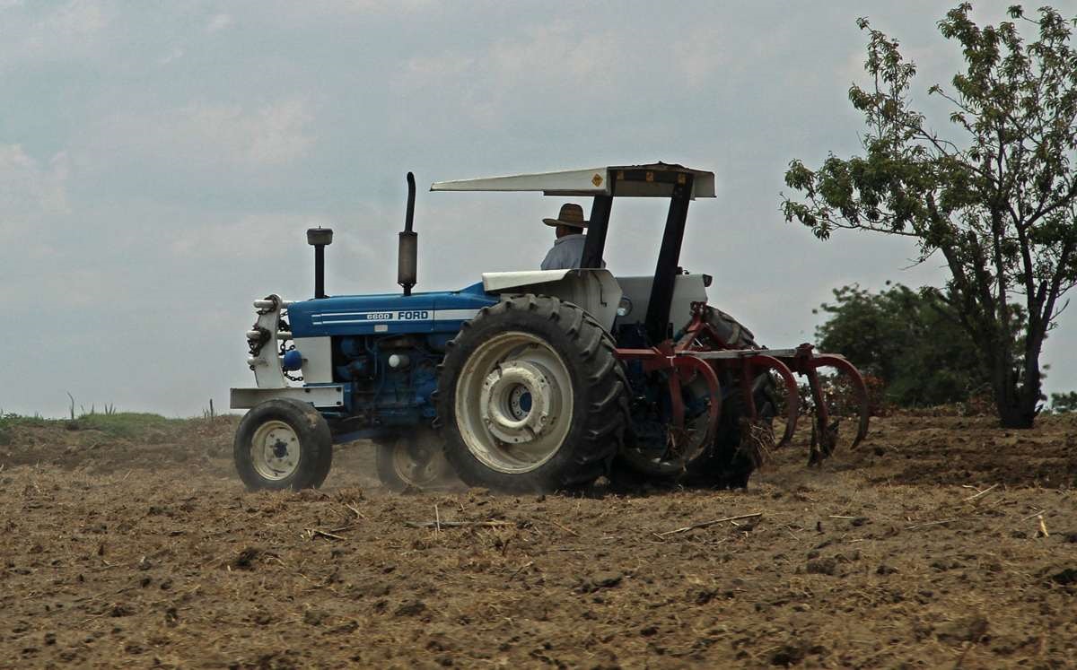 Trabajadores del campo | Melanie Torres