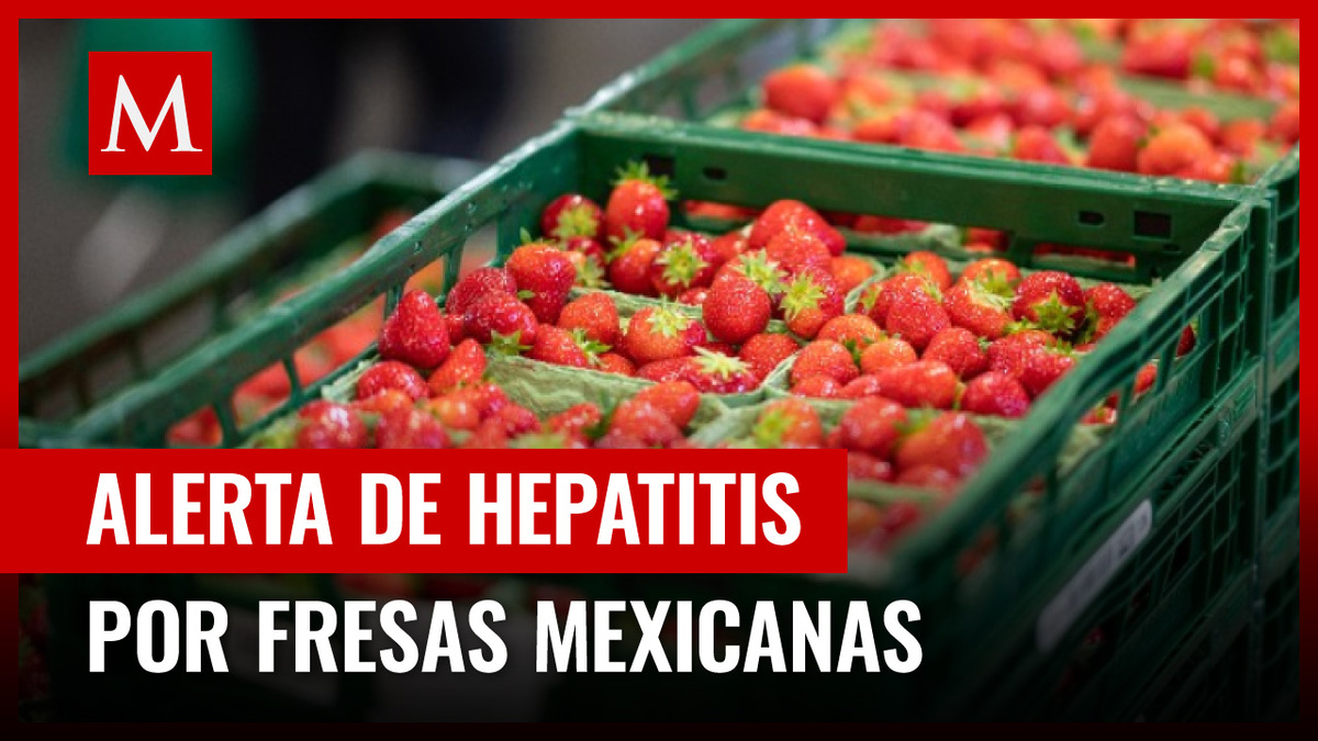 FDA advierte casos de hepatitis A en EU por fresas cultivadas en México