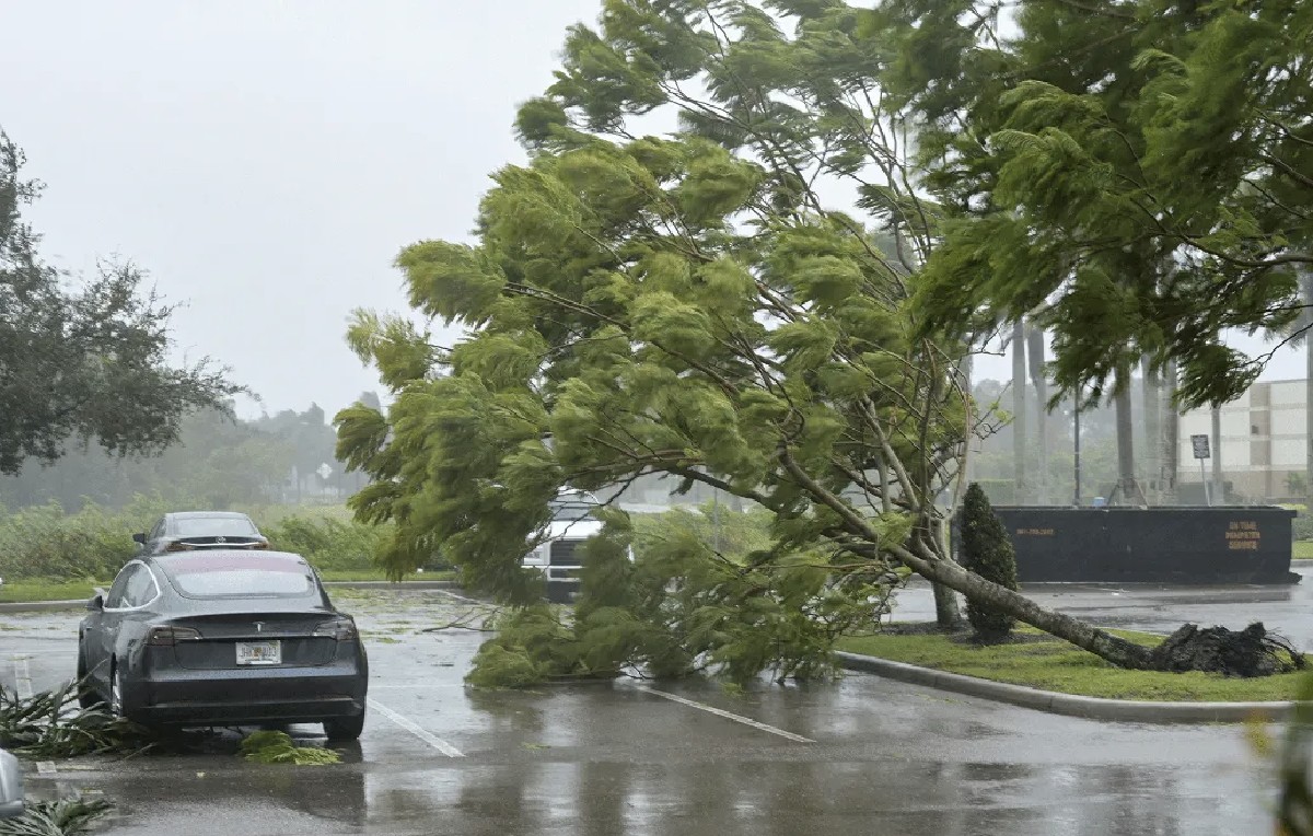 Fuertes vientos en Florida (Imagen ilustrativa | Reuters)
