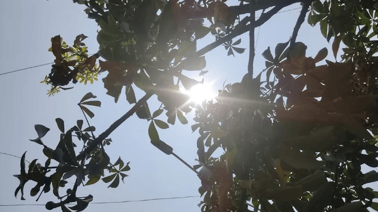 Campesino de 70 años muere por golpe de calor en su parcela en Veracruz