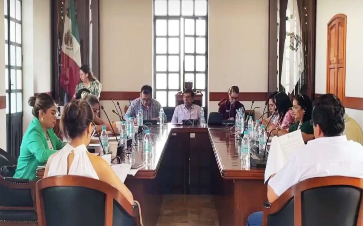 Piden informe por caso de perritos sedados en Tehuacán, Puebla | Especial