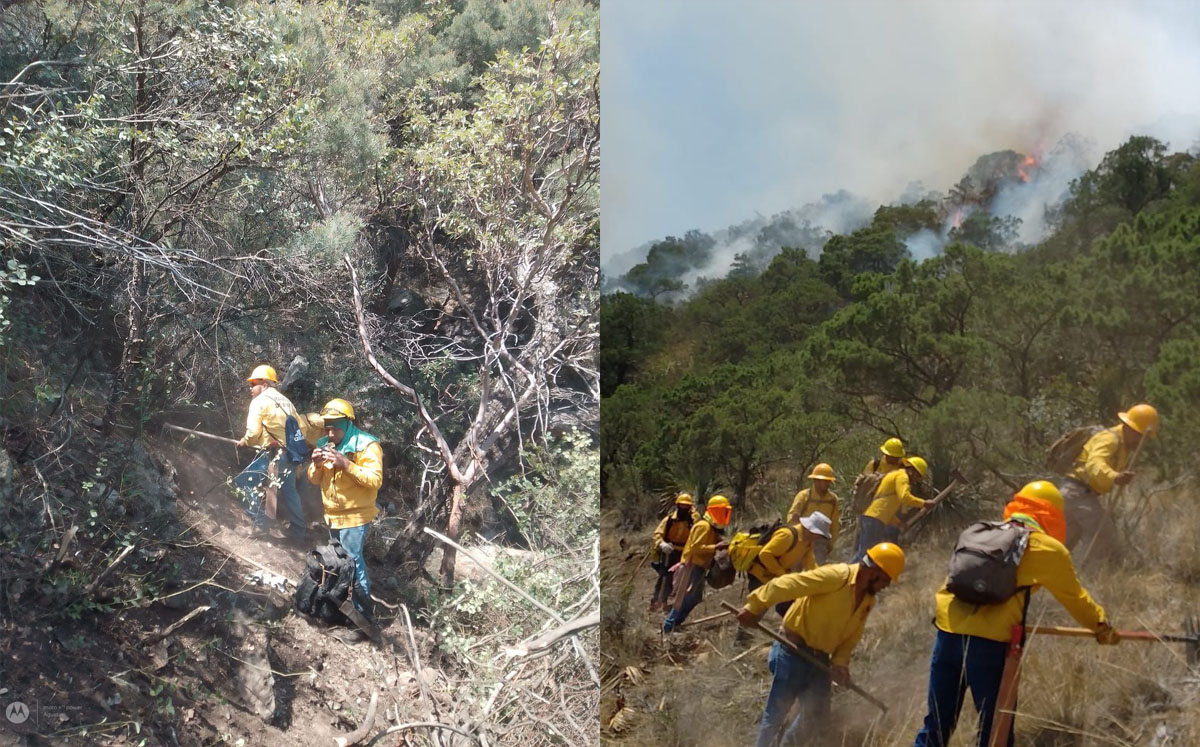 Sigue incendio en sierra de Ramos Arizpe, van alrededor de 170 hectáreas afectadas. | Especial