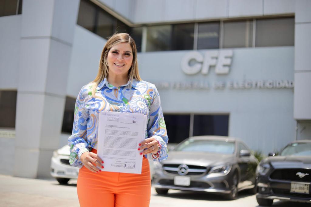 La diputada local del PRI, Ana González, presentó un exhorto a la Comisión Federal de Electricidad (CFE). Foto: Especial