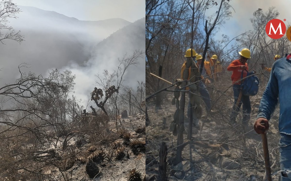 Incendios forestales en Jaumave, Tamaulipas
