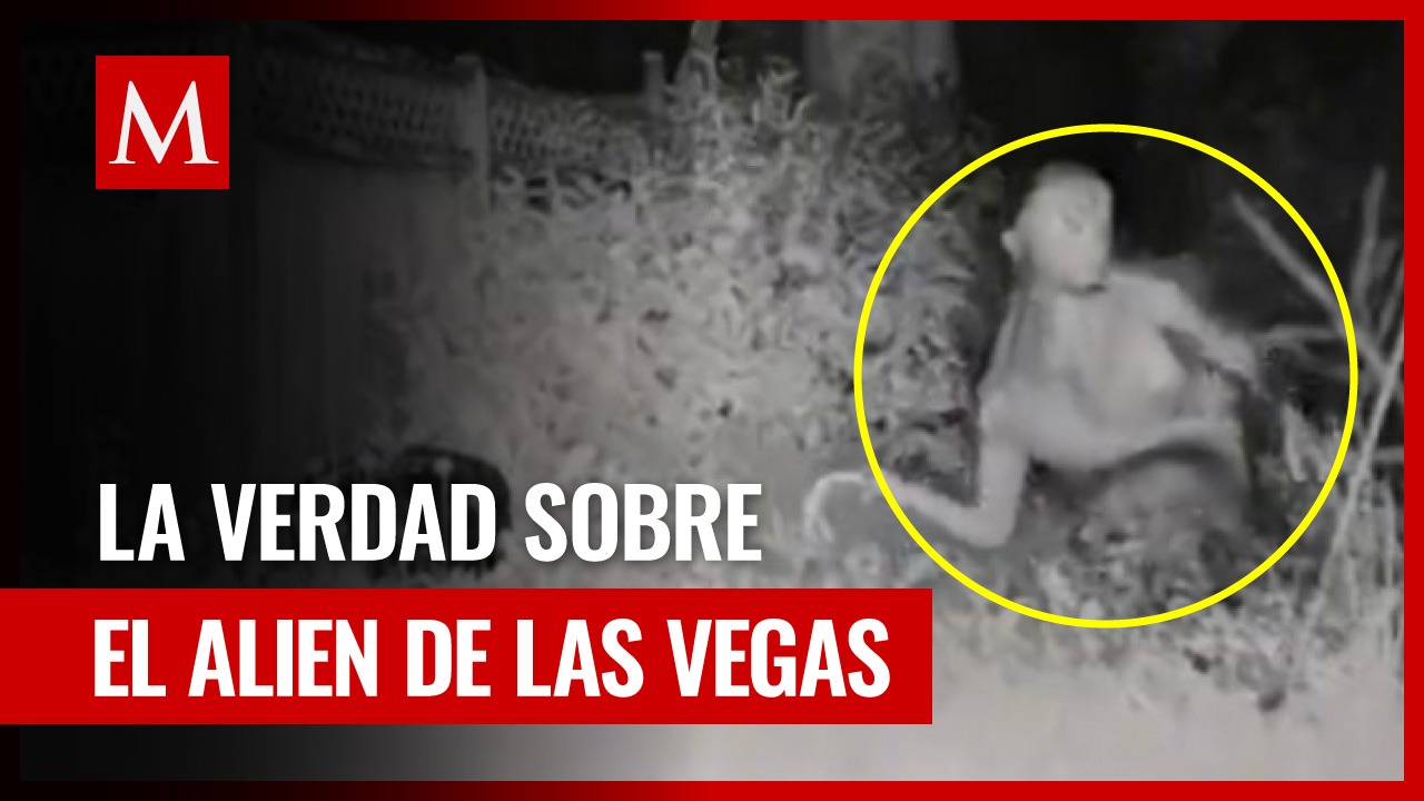 El misterio del OVNI en el patio trasero: ¿Extraterrestres o engaño?