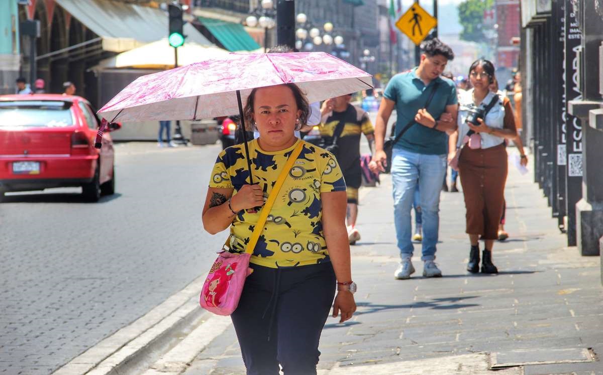 Alertan por formación de islas de calor | Melanie Torres