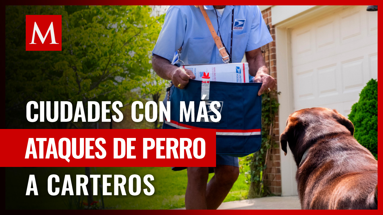 Más de 5 mil carteros fueron mordidos por un perro en el 2022 en los EU