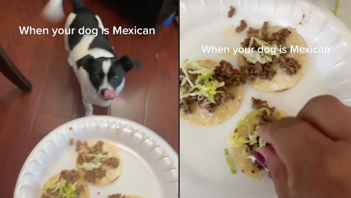 Mujer prepara taquitos para su perro. | ESPECIAL