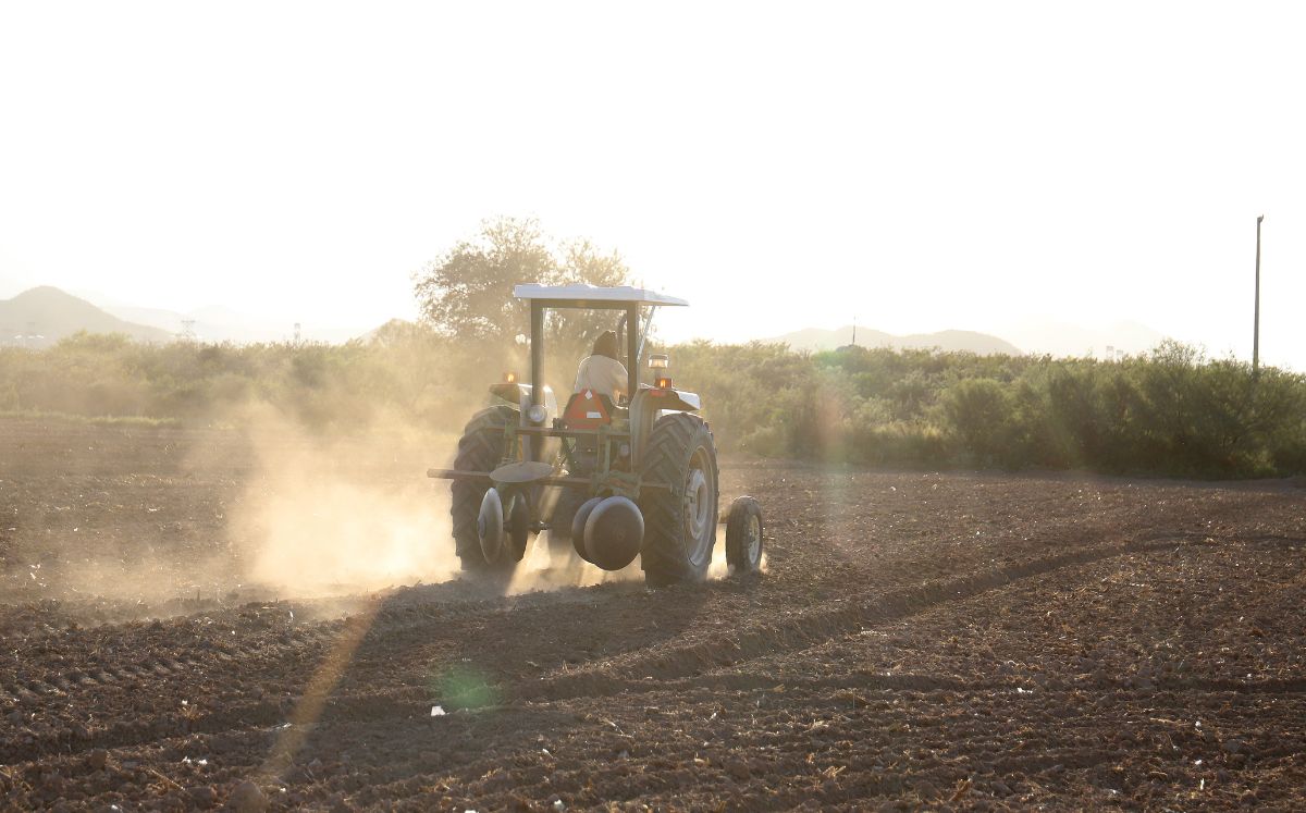 Productores solicitarán más agua para el campo lagunero. (Rolando Riestra)