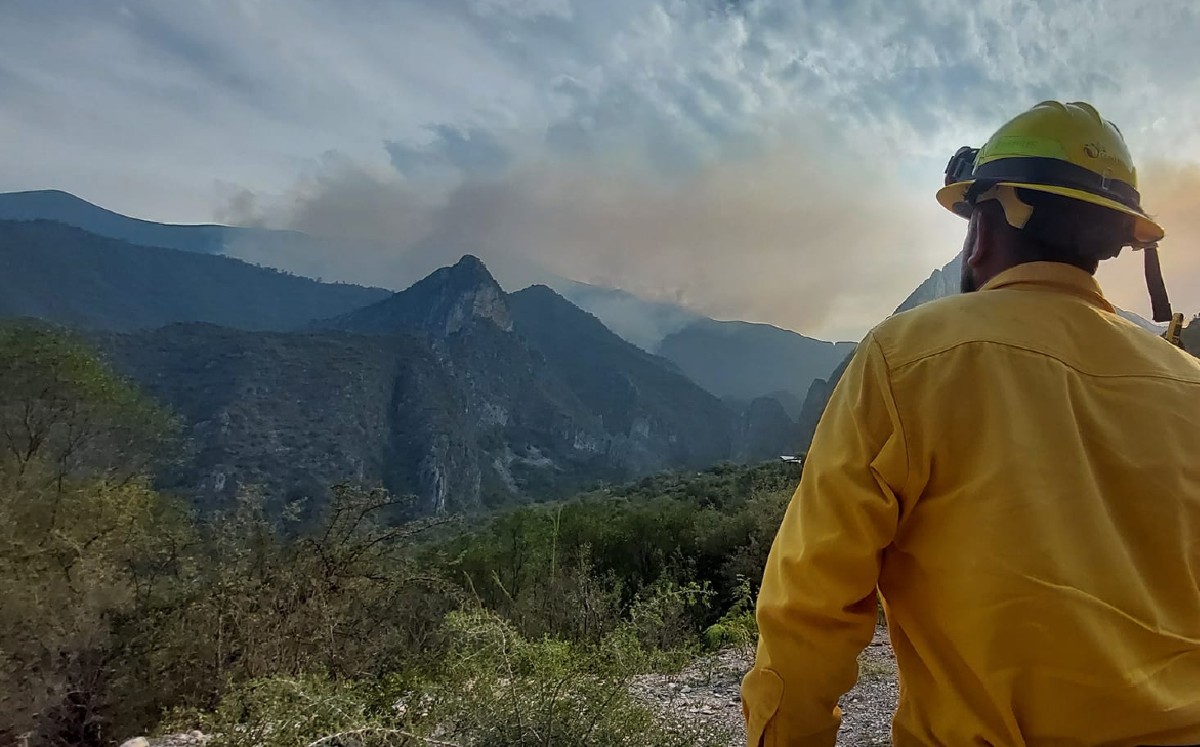 El siniestro en la zona del Parque Nacional Cumbres inició el 15 de junio  | Especial