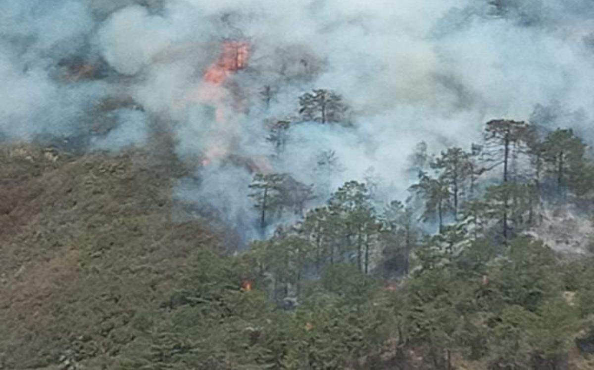Incendio forestal | Especial