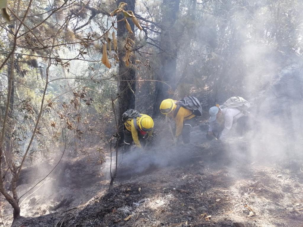 En Veracruz, se reportan múltiples incendios forestales activos