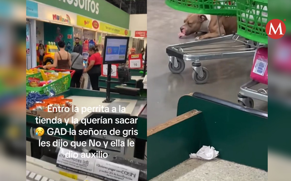 Ayudan a perrita en tienda de conveniencia. Foto: Especial