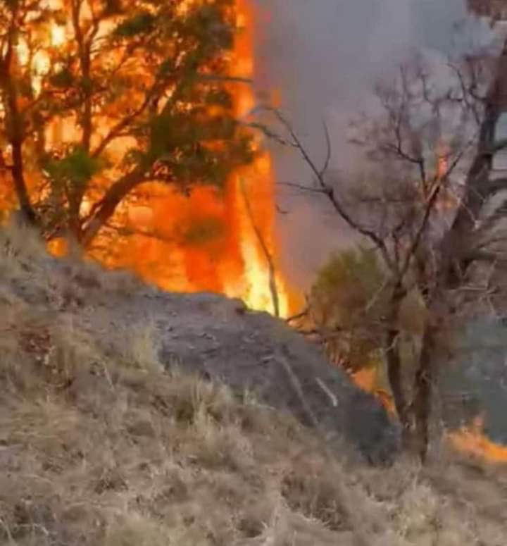 Mixtega Trejo aseguró que no existe población en riesgo en la zona, así como desalojo de habitantes de ninguna zona afectada por el incendio