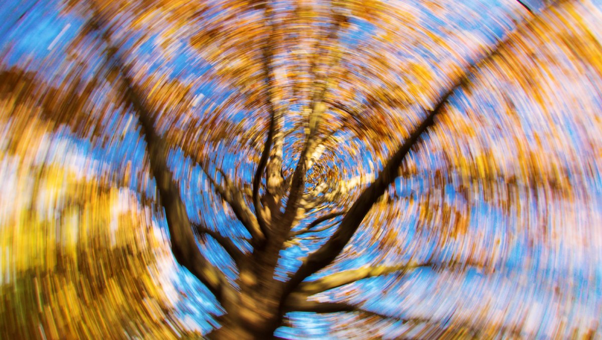 Problemas de equilibrio | Shutterstock