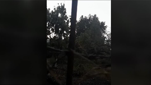 Se registran enfrentamientos en diferentes municipios de Michoacán