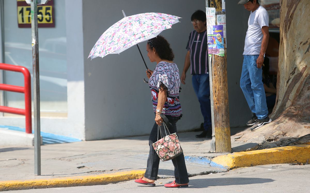 En Coahuila se seguirán registrando de 40 a 45 grados centígrados, mientras que Durango oscilará entre los 35 a 40 °C. (Rolando Riestra)