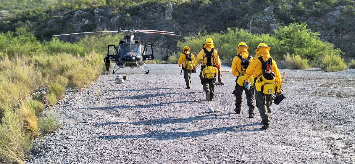 La Comisión Nacional Forestal (Conafor) dio a conocer que se ha logrado controlar al 40 por ciento el incendio