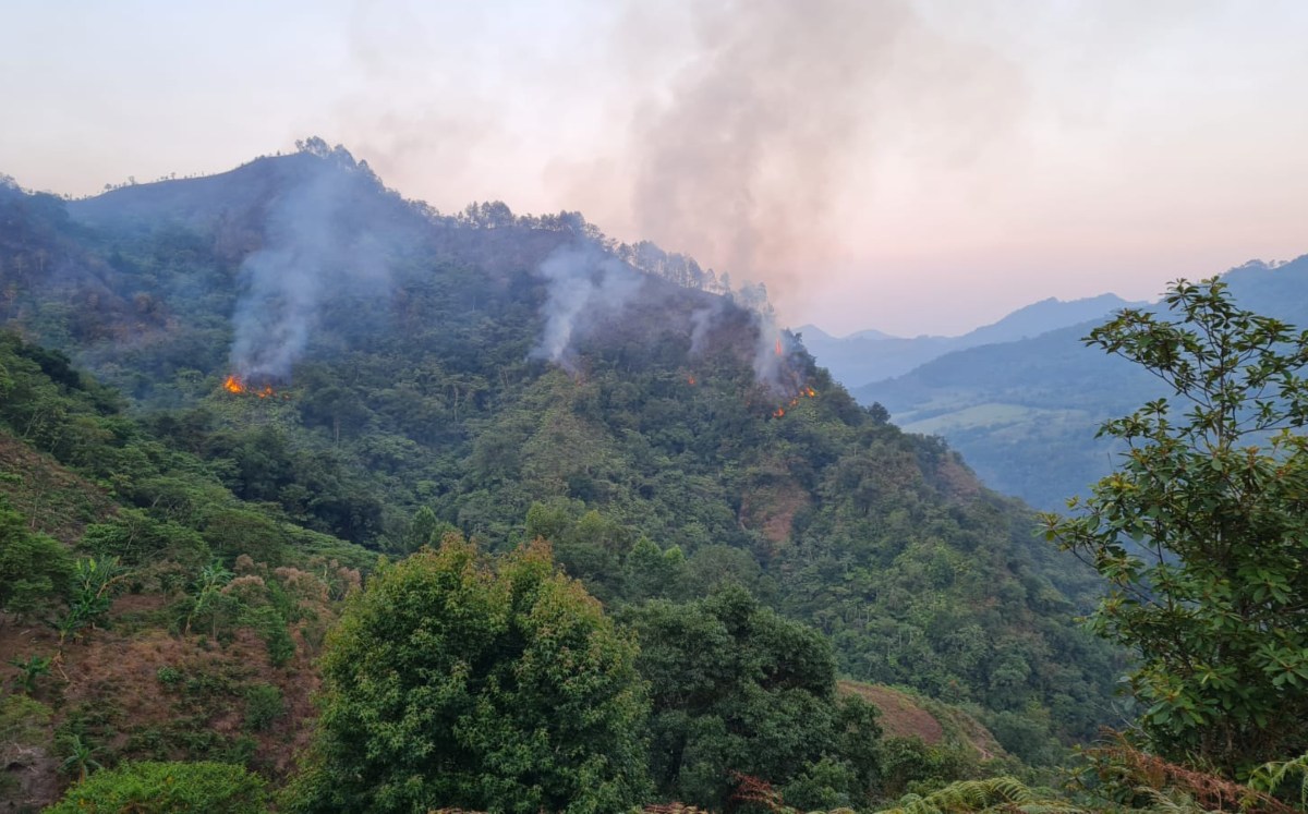 Incendio forestal en Zacatlán | TW: @AmbienteGobPuebla
