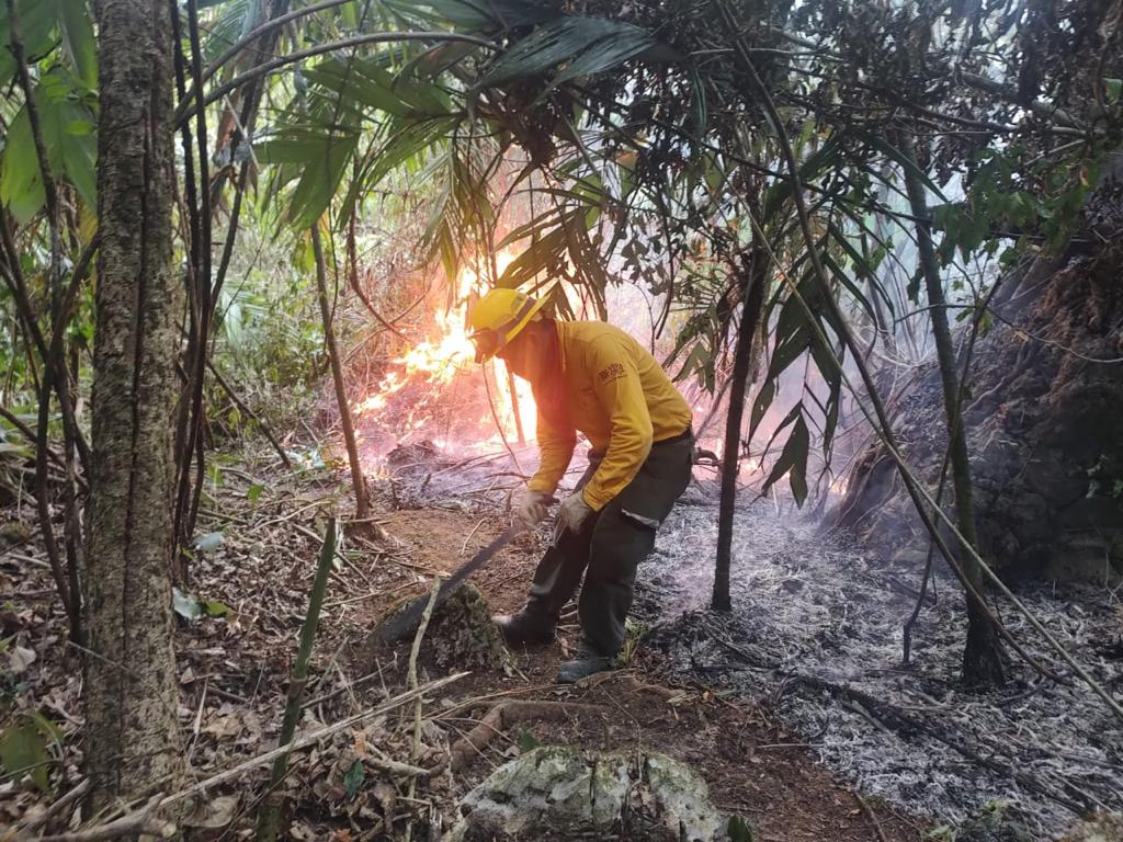 Veracruz combate incendios forestales.