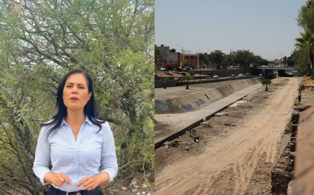 'Ecocidio' en León