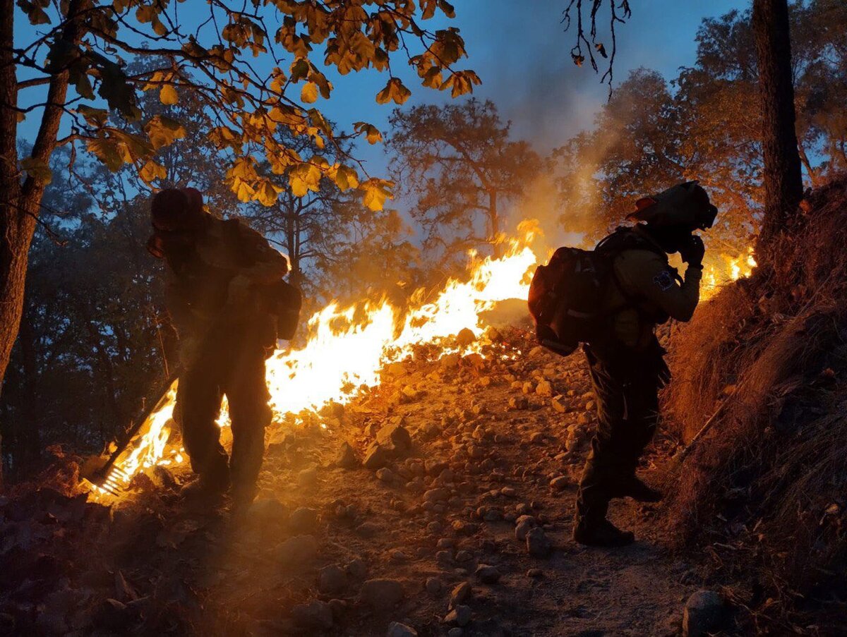 Combaten incendio en ANP de La Primavera (Cortesía)
