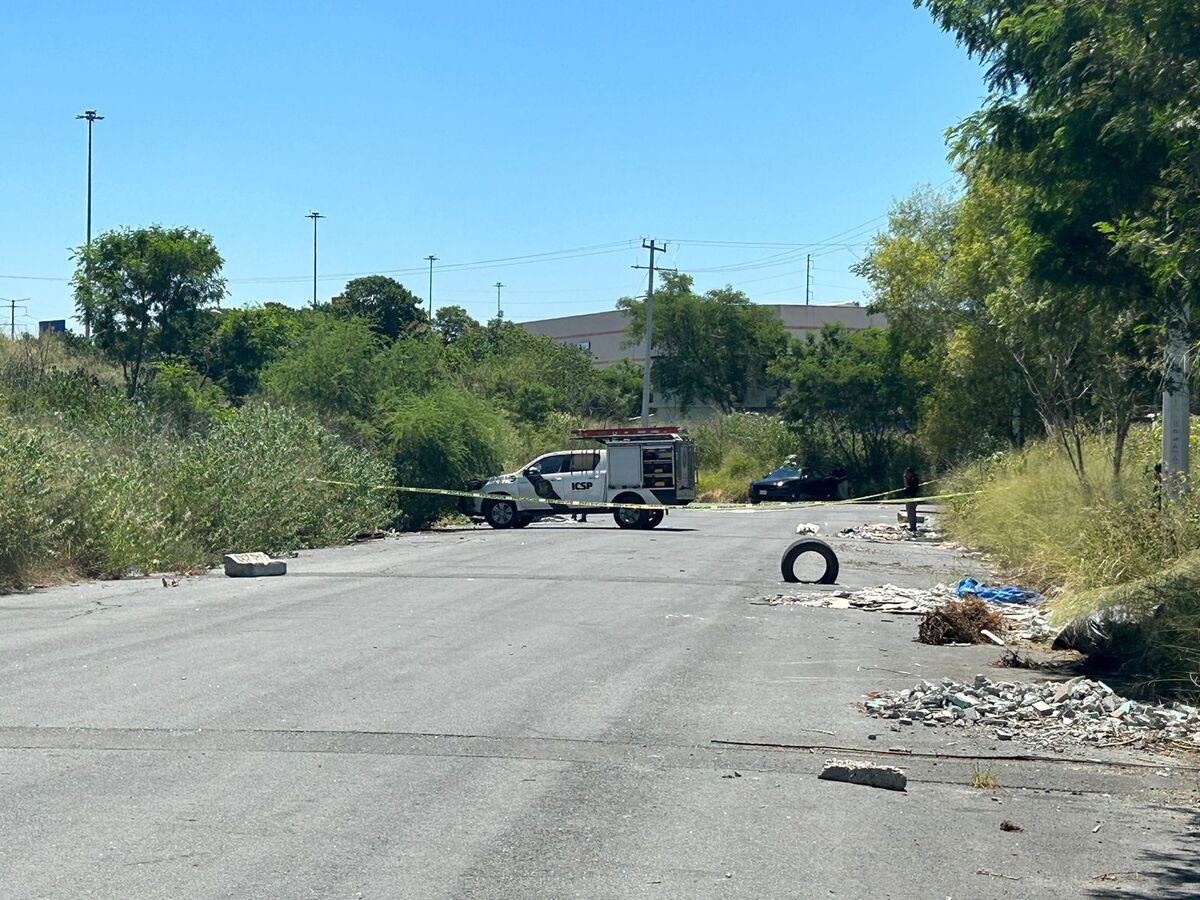 Foto: Pedro Delgado